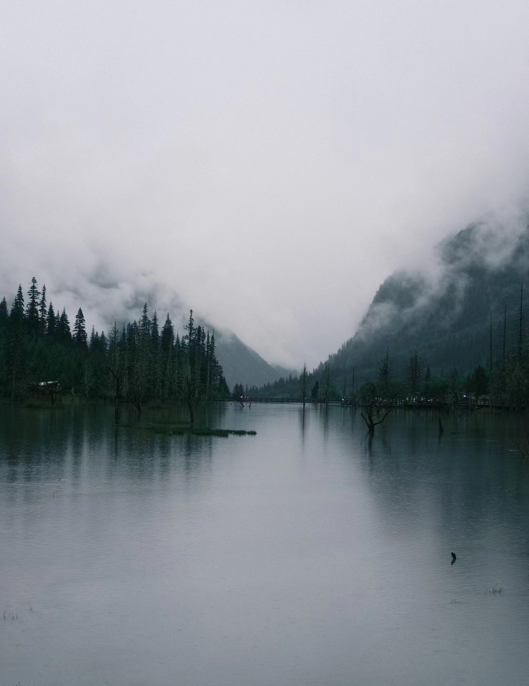 Sichuan, 2022-07
