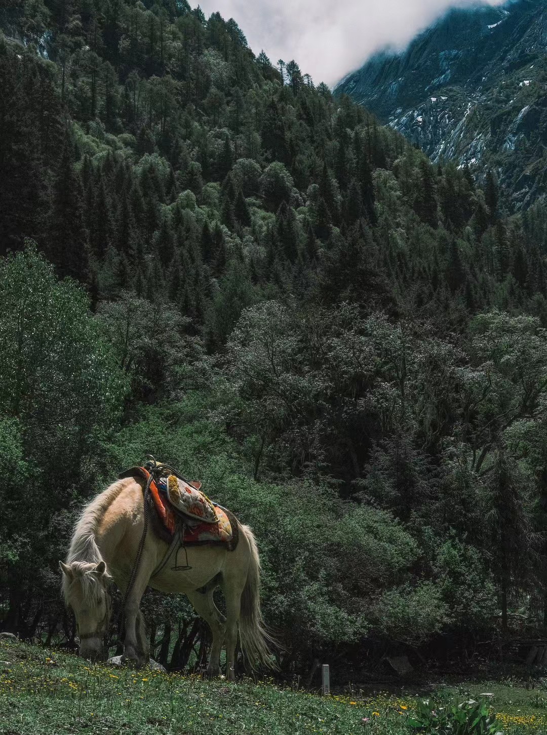 Sichuan, 2022-07