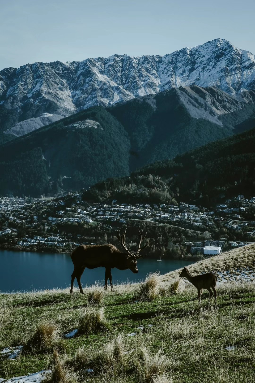Queenstown, 2023-05