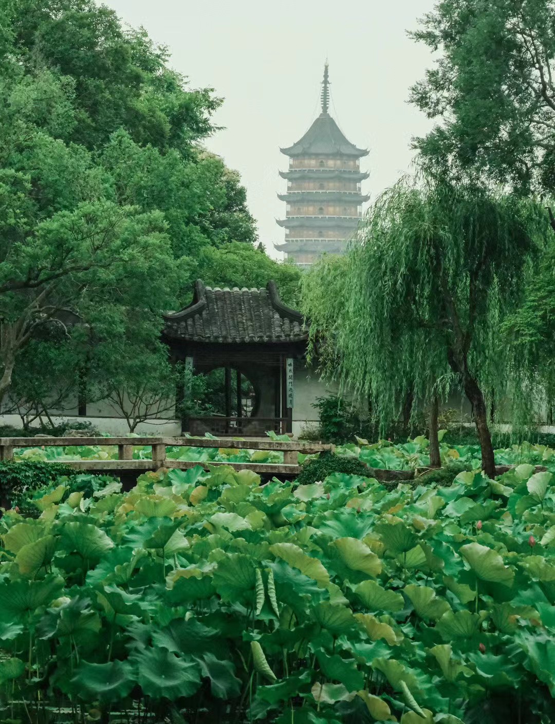 Suzhou, 2023-09