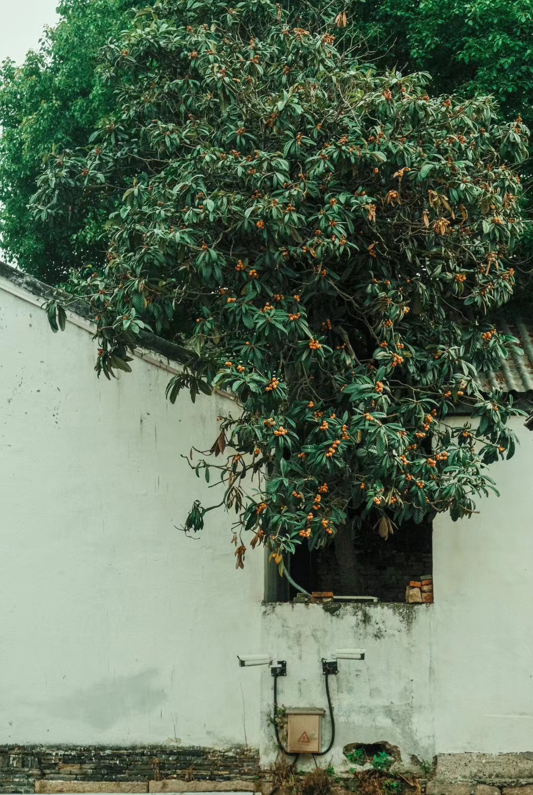 Suzhou, 2023-09