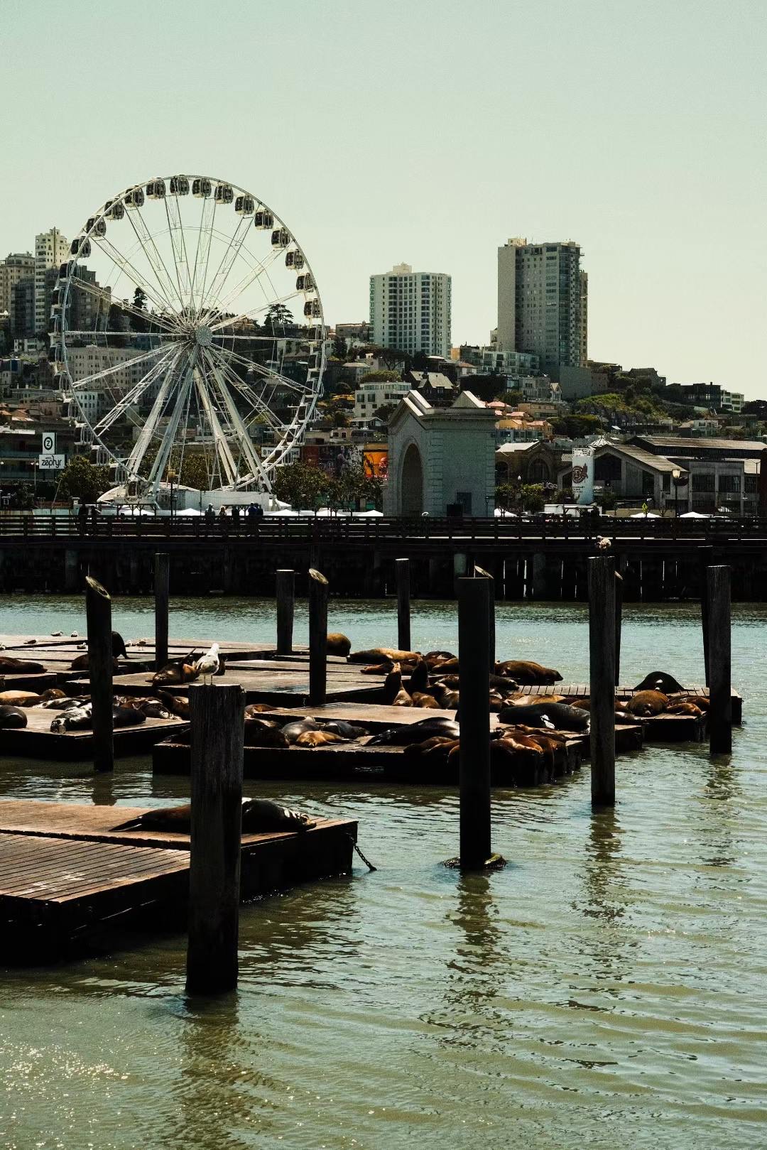 San Francisco, 2025