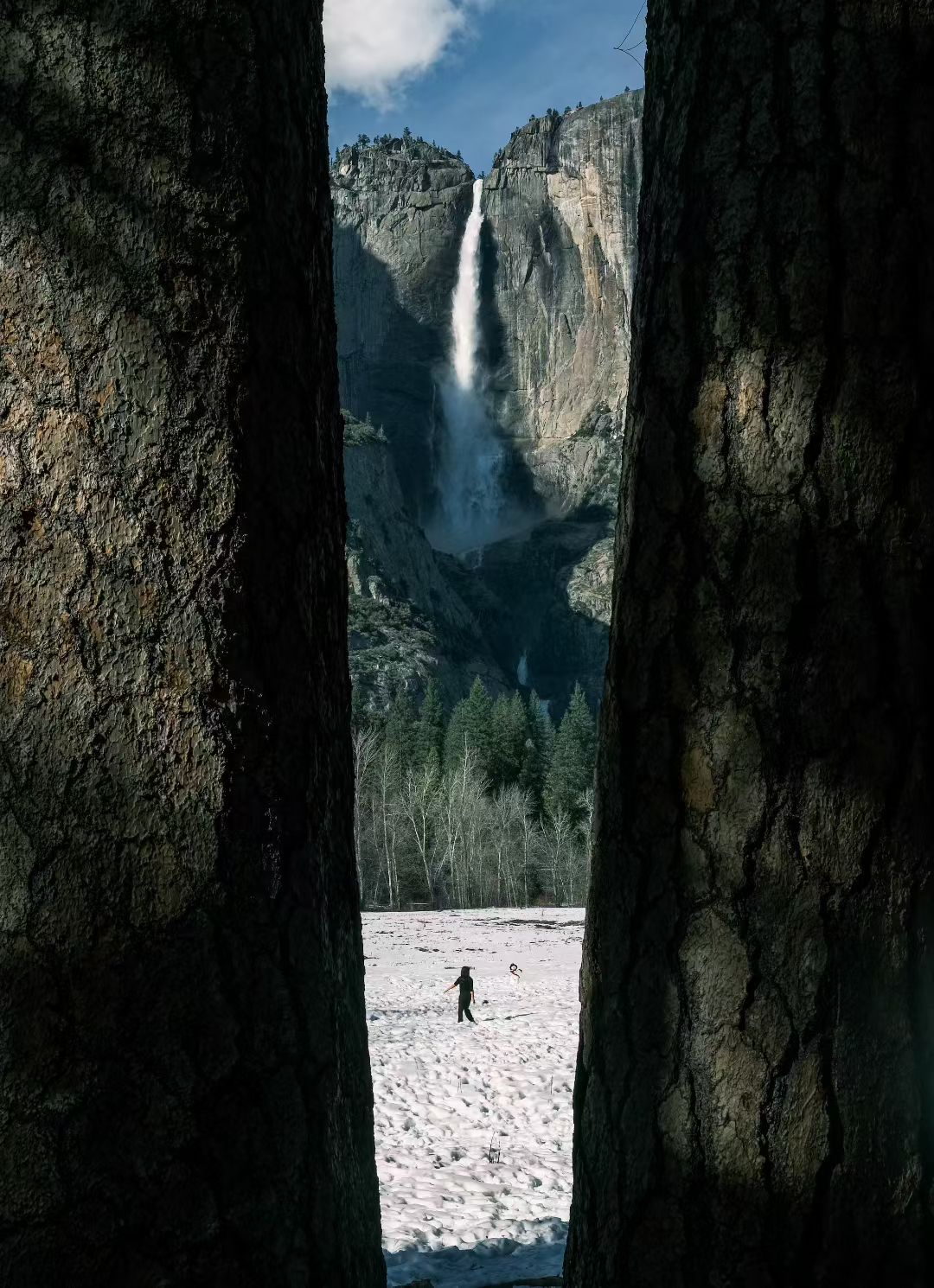 Yosemite, 2026