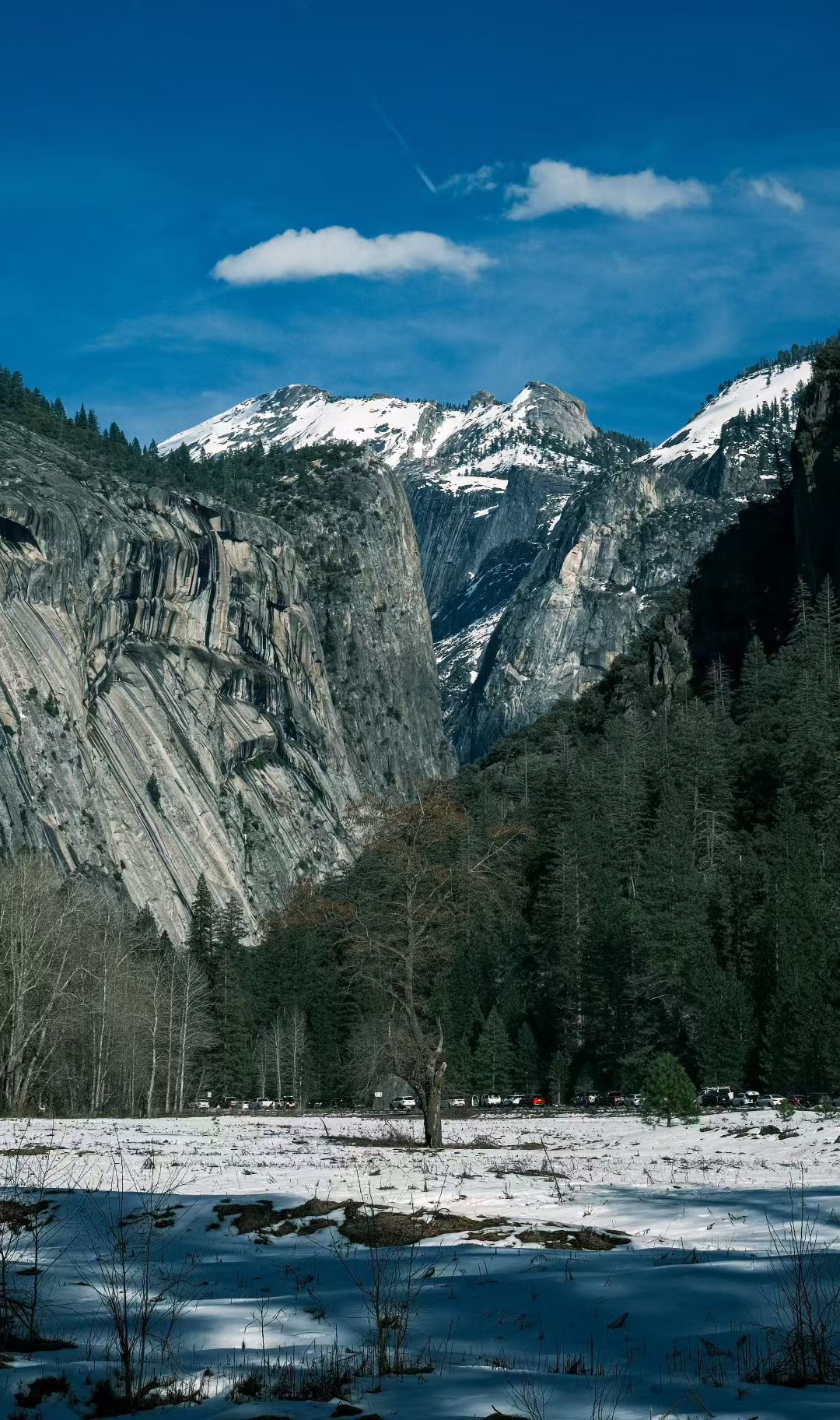 Yosemite, 2026